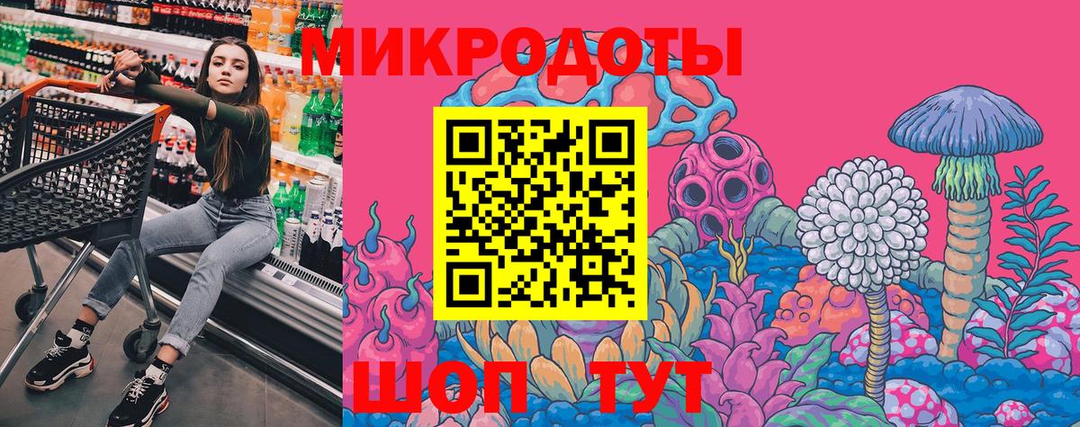 Галлюциногенные грибы MAGIC MUSHROOMS  Вход с VPN  цены   Богданович 