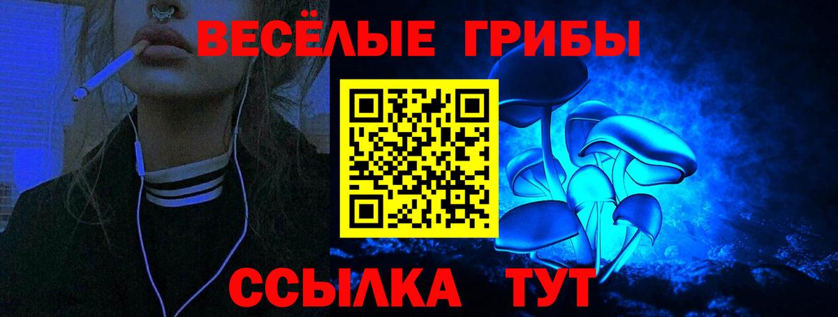 Галлюциногенные грибы Psilocybine cubensis Богданович